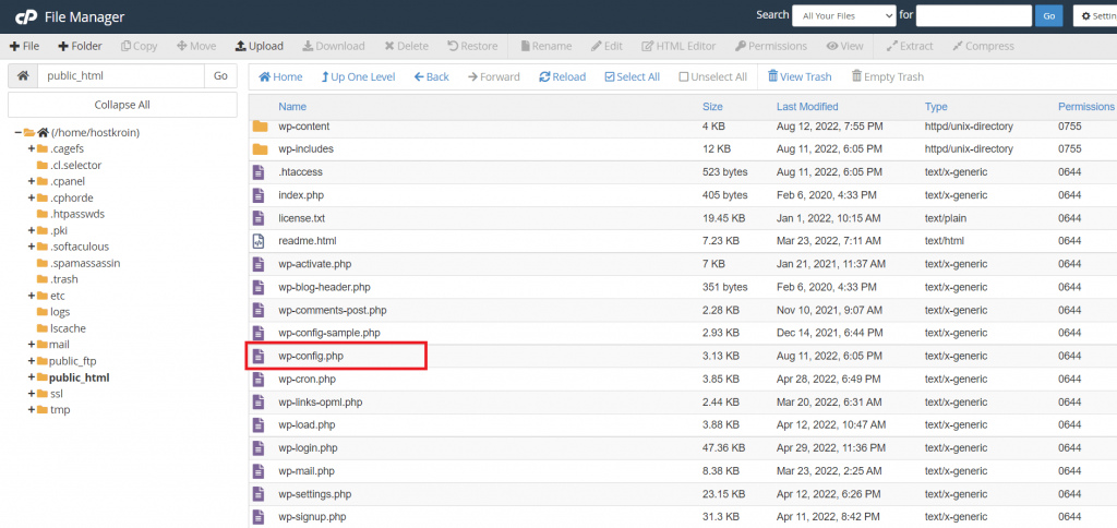 wordpress-wpconfig-file